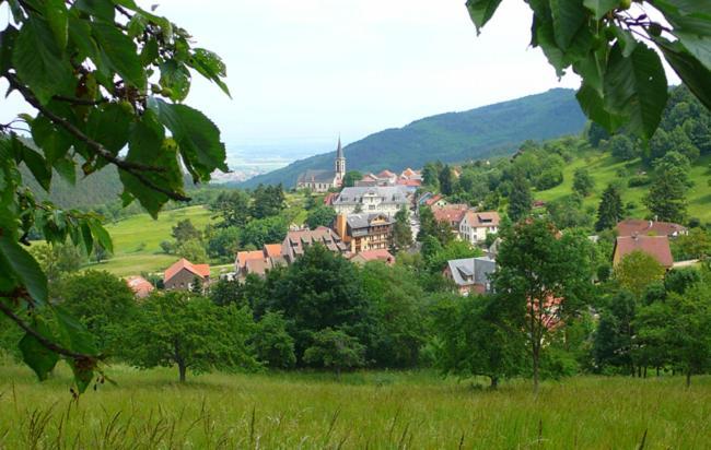 Du Koenigsbourg- Entre Vignes Et Chateau