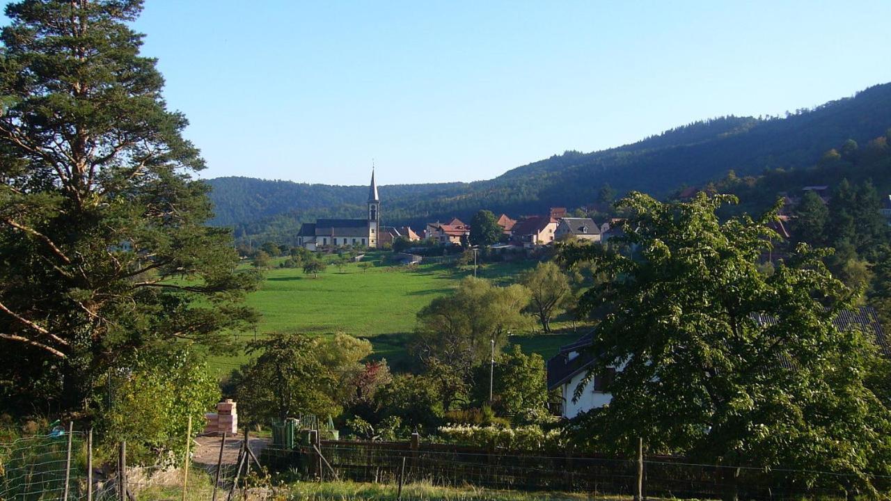 Du Koenigsbourg- Entre Vignes Et Chateau