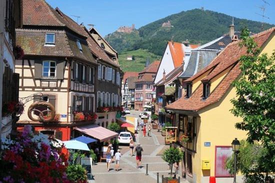 Du Koenigsbourg- Entre Vignes Et Chateau